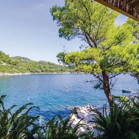 Three-bedroom Holiday In Mljet Vikendica Sobra